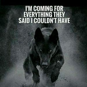 Meet your Posher, Lorie